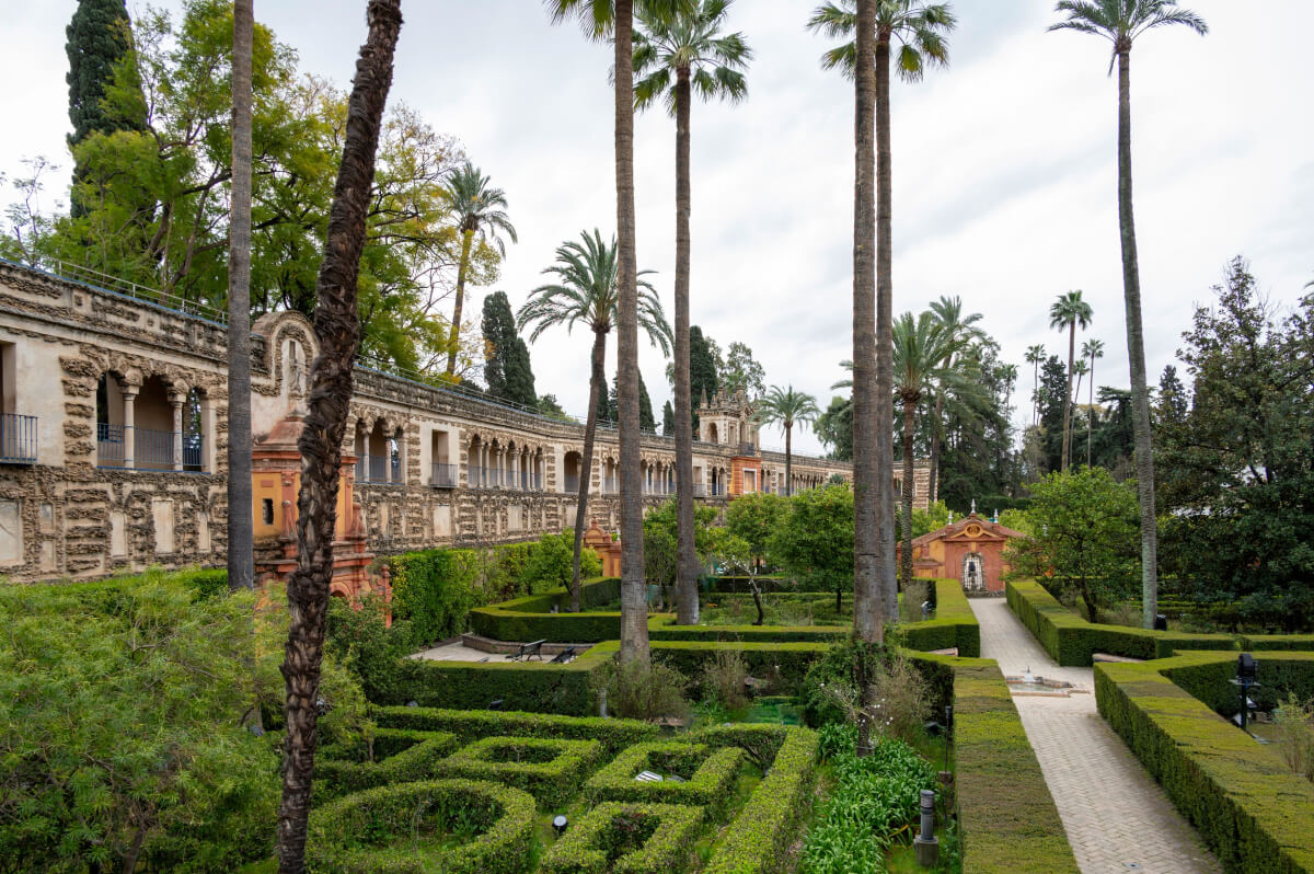 Galería del Grutesco, palmeras y setos de los jardines del Real Alcázar de Sevilla